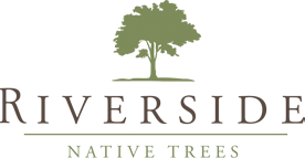 Riverside Native Trees